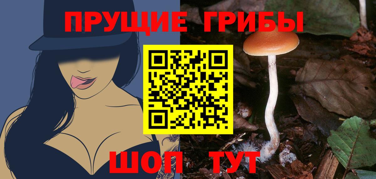 Гурьевск  Псилоцибиновые грибы Cubensis  Вход с VPN 